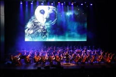 Koncert Christmas in Hollywood, Foto: Jan Kodrla