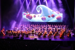 Koncert Christmas in Hollywood, Foto: Jan Kodrla