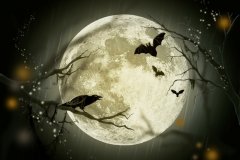 Halloween / Zdroj: Pixabay.com
