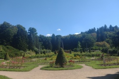 Růžová zahrada na Konopišti