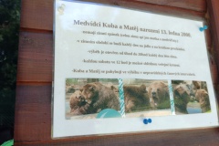 Medvědárium v Berouně