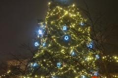 IMG_20251130_180239