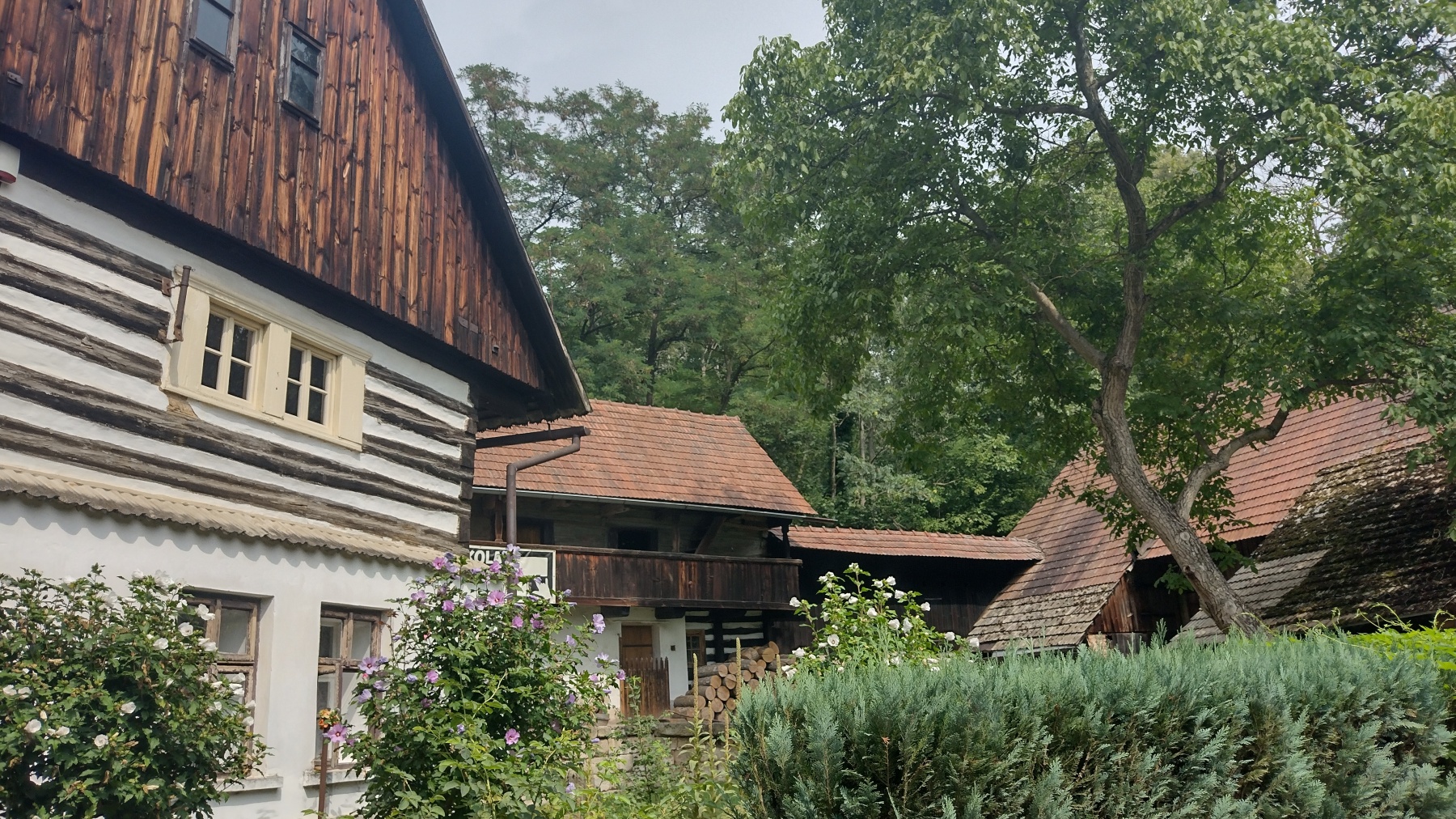 Střehom