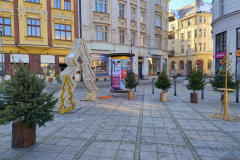 IMG_20251128_133232626_HDR_AE