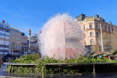 IMG_20251129_113124615_HDR_AE