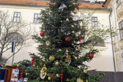 IMG_20251129_120456880_HDR_AE