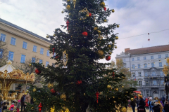 IMG_20251129_120535812_HDR_AE