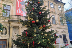 IMG_20251129_120624511_HDR_AE