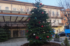 IMG_20251129_121641787_AE