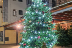 IMG_20251129_164822390