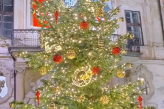 IMG_20251129_170017594_HDR_AE