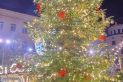 IMG_20251129_170041049_HDR_AE