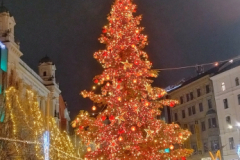 IMG_20251129_170755318_HDR_AE