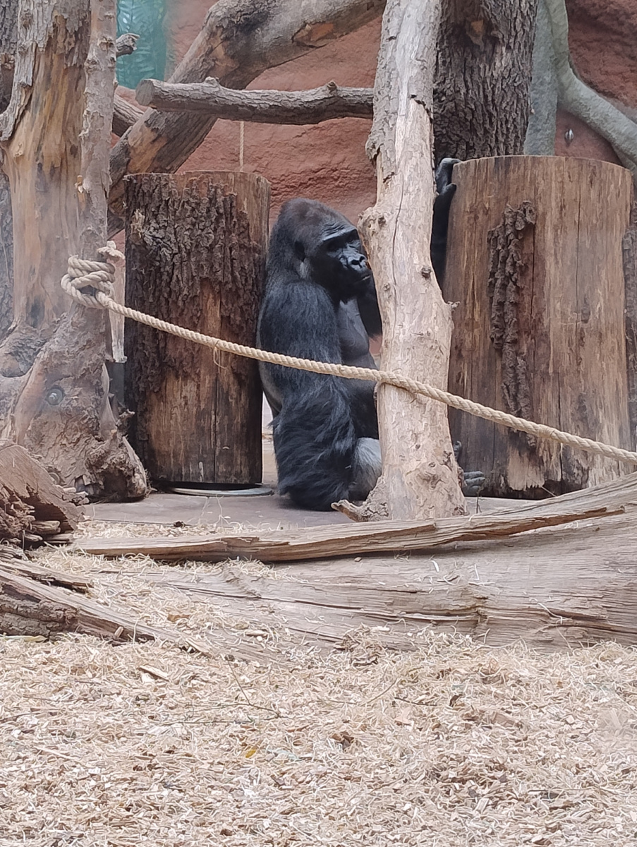 ZOO Praha