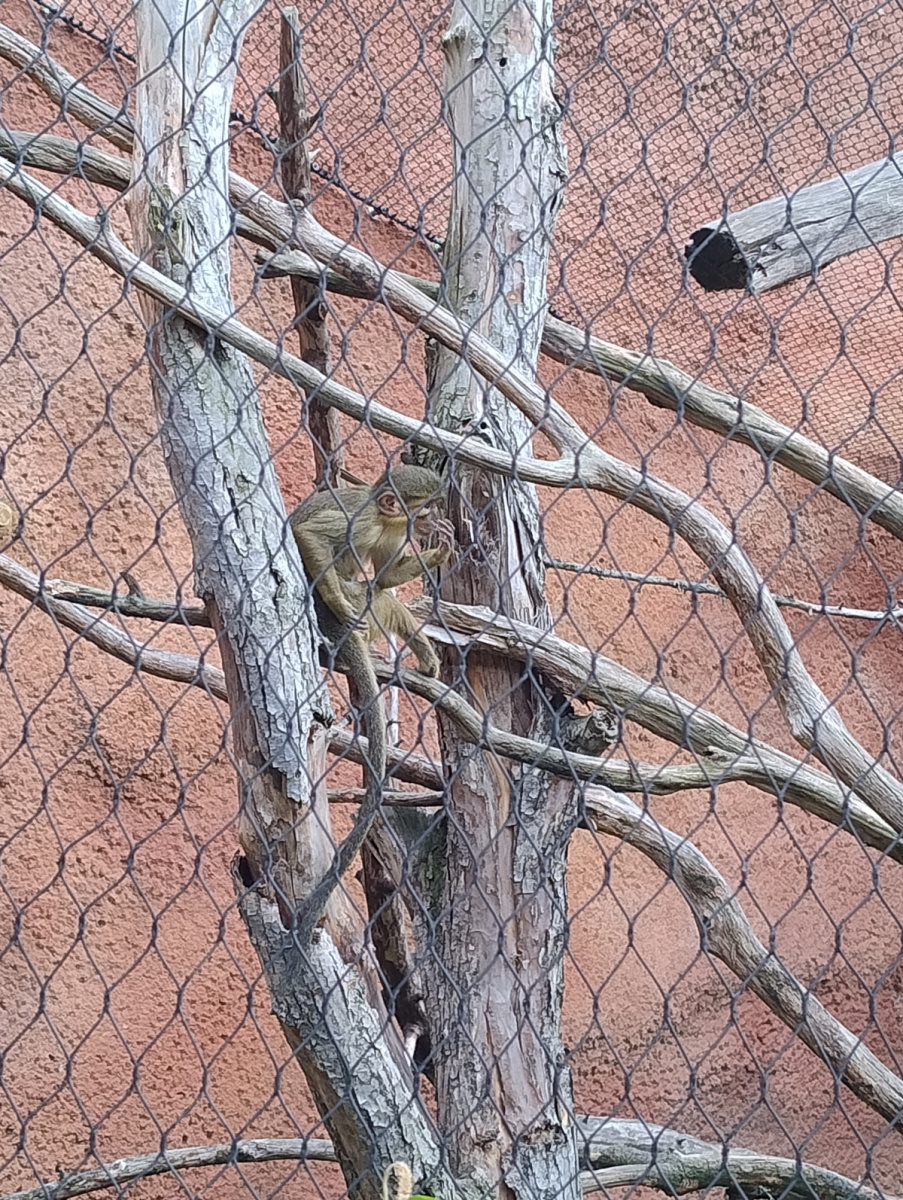 ZOO Praha
