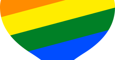 Pride / Zdroj: Pixabay
