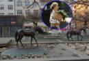 Pleslův ateliér ve vinárně a bronzoví koně kolem Hřebíčkové: Kde se natáčela Matka v trapu?