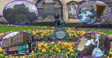 Stezka Harryho Pottera i psí hrdina Bobby mezi kapkami deště: Jaký je Edinburgh