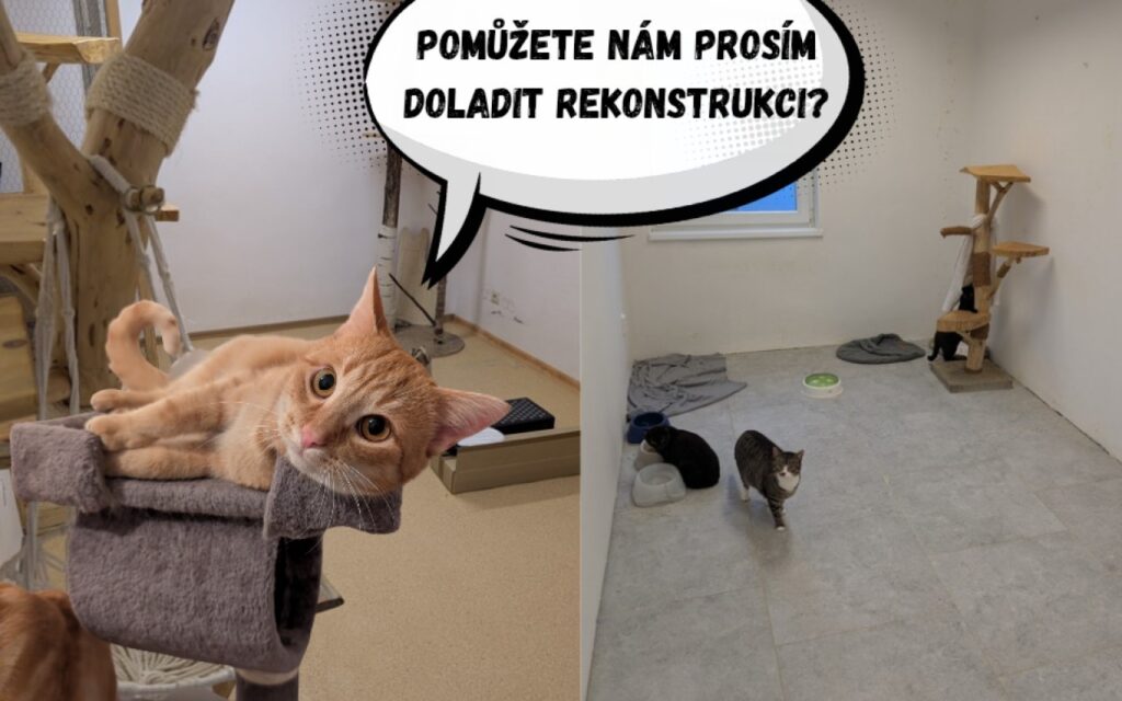 Foto: Donio.cz