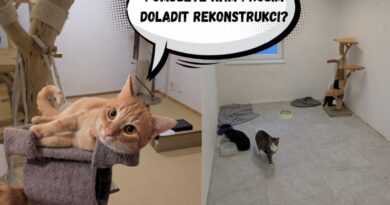 Foto: Donio.cz