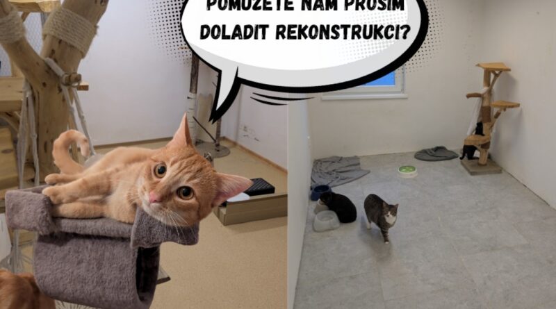 Foto: Donio.cz