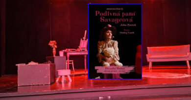 Kdo je tady vlastně blázen? Podivná paní Savageová poskytne azyl vaší duši