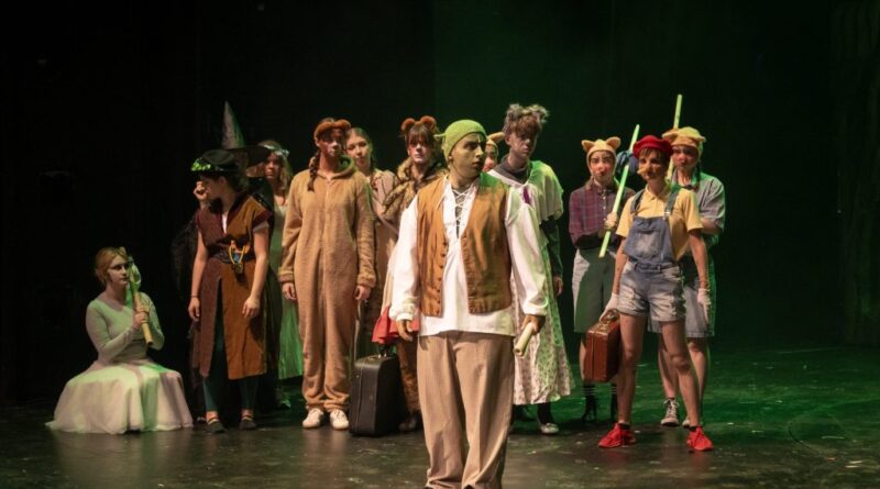 Zlobří mejdan v Hybernii aneb dětský Shrek baví nejen děti