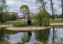 Významný strom a hlavně klid… Jaký je skrytý klenot Čakovic?