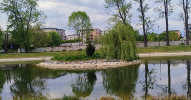 Významný strom a hlavně klid… Jaký je skrytý klenot Čakovic?